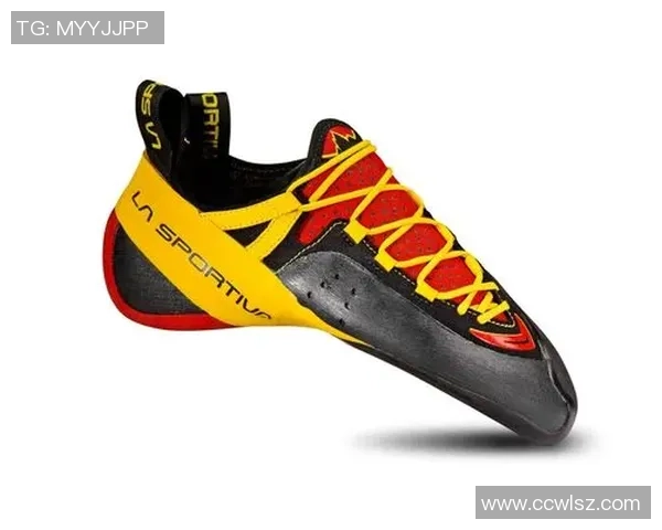 飞盘装备选购指南与攀岩鞋推荐助你提升运动体验